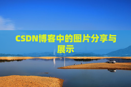 CSDN博客中的图片分享与展示
